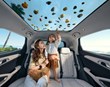 BYD ATTO 2 DM-i